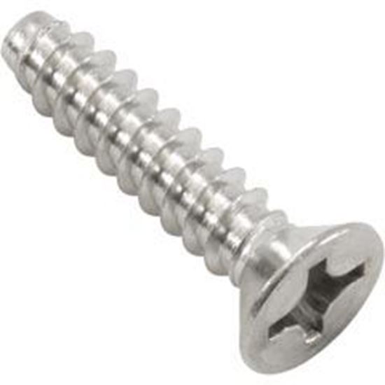 Picture of Skimmer Screw Waterway 12 X 1" 819-6940 