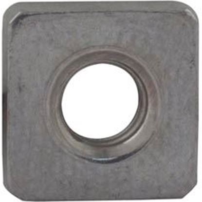 Picture of Nut Pentair Pacfab Dynamo Seal Plate 354542 