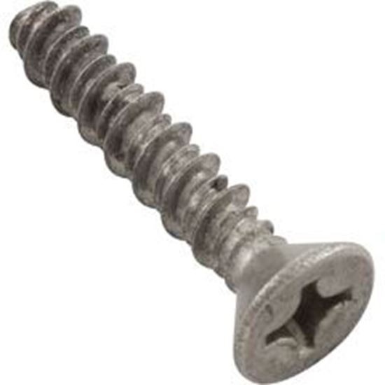 Picture of Screw Pentair Rainbow Dsf/Safety Skimmer 13-16 X 1-1/4" R172474 