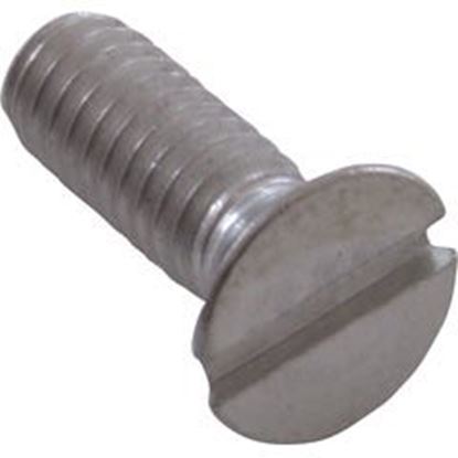 Picture of Screw Pentair American Products Cover/Grate 8-32 X 1/2" 98213700 