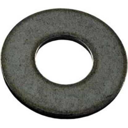 Picture of Washer Pentair Sta-Rite 3/8" Steel U43-62Ss 