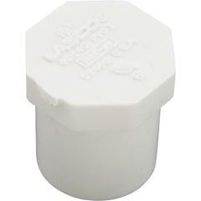 Picture of Plug Lasco 1/2" Spigot 449-005 