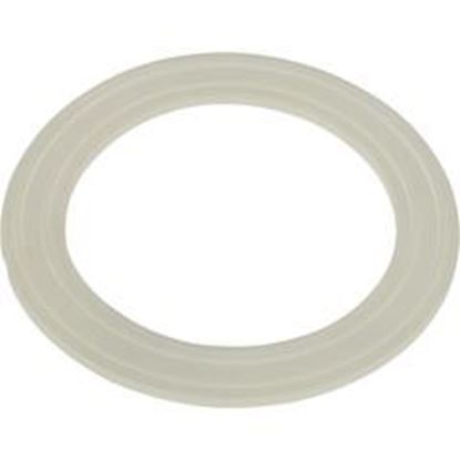 Picture of Gasket Balboa Water Group/Hai Slimline Suction/Hydro Jet 30-3804Clr 