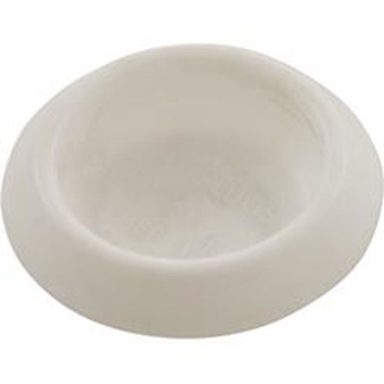 Picture of Plug Aqua Products 1-1/8" White 8351 