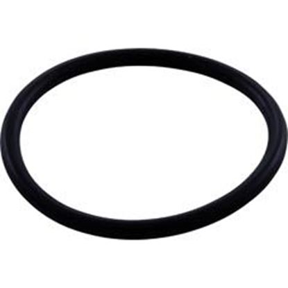 Picture of Upper Wms To Vactube O-Ring Zodiac/Polaris 3900 R0544000 