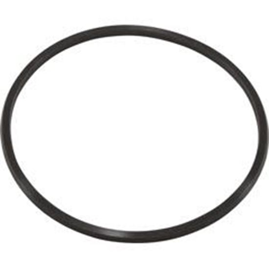 Picture of O-Ring Aquapro Al75 Trap Lid 10062-Acc 