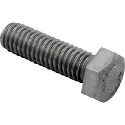 Picture of Bolt Pentair American Products Purex 3/8-16 X 1-1/4" 070430 