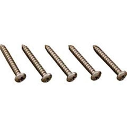 Picture of Screw 5 Pack Pentair Letro Jv105 Cleaner Deflector Jv46 