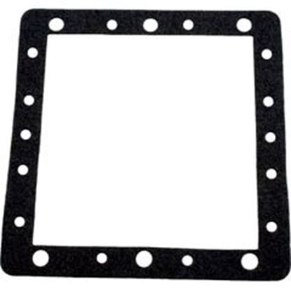 Picture of Gasket Waterway Flopro/Front Access Skim Filter Faceplate 806-1040 