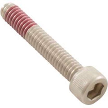 Picture of Diffuser Screw Pentair Intelliflo Xf 8-32 X 1” 353323 