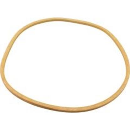 Picture of Gasket American Prod Separtaion Tank Lid Generic  90-423-2100