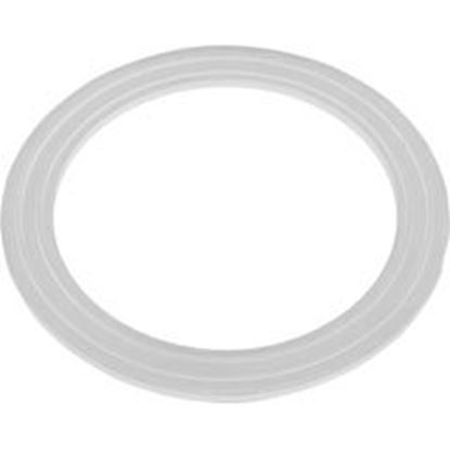 Picture of Gasket 175 Gpm Fiberglass Pool Suction (Vgb) 25215-000-004 