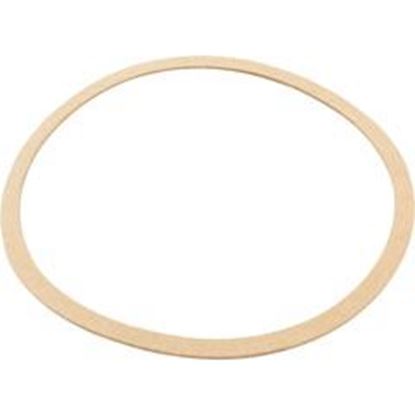 Picture of Gasket Sta-Rite Ck Pump Seal Plate Generic  90-423-2130