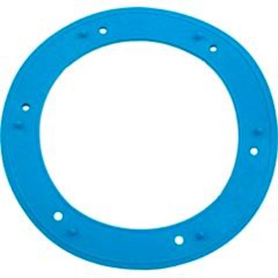 Picture of Light Niche Liner Gasket Sta Rite Small 05166-0001 