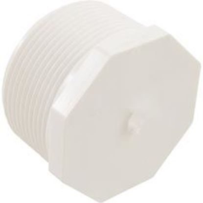 Picture of Plug Lasco 2-1/2" Male Pipe Thread 450-025 