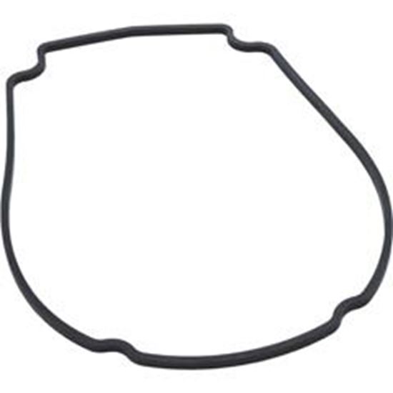 Picture of Gasket Waterway Econo Flo/Champion Faceplate 806-1400 