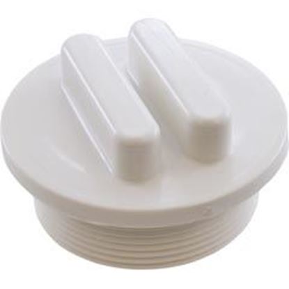 Picture of Plug Praher Abs Side Mount Valves 2"Mpt White E-19-S2 