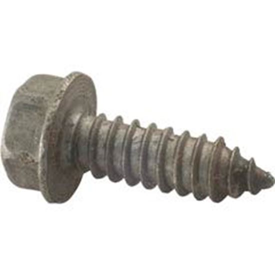 Picture of Screw Pentair Sta-Rite 5/16-14 X 1" U30-918Ss 