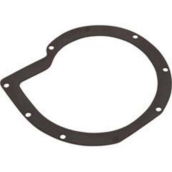 Picture of Gasket Sta-Rite Lt Volute Generic G-223 