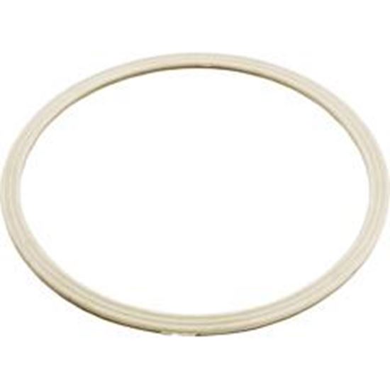 Picture of Grommet Gasket-Dyna Flo Skim Filter 711-8010 