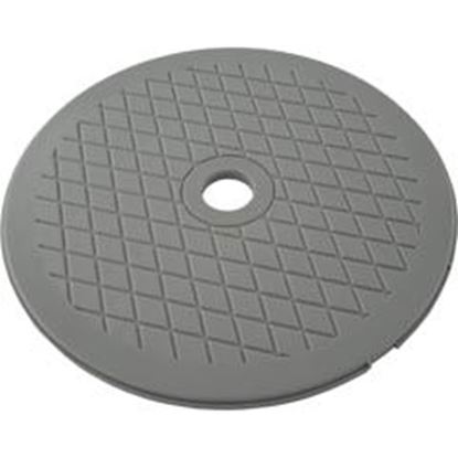 Picture of Skimmer Lid Pentair Hydroskim Gray 7-11/16"Od 513335 