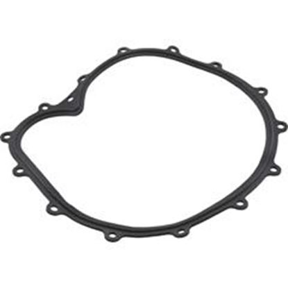 Picture of Faceplate Gasket Big Red Pump 711-2610 