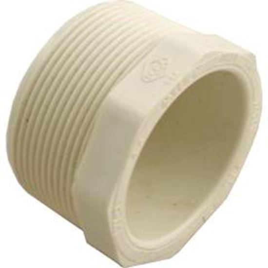 Picture of Plug Lasco 2" Male Pipe Thread 450-020 