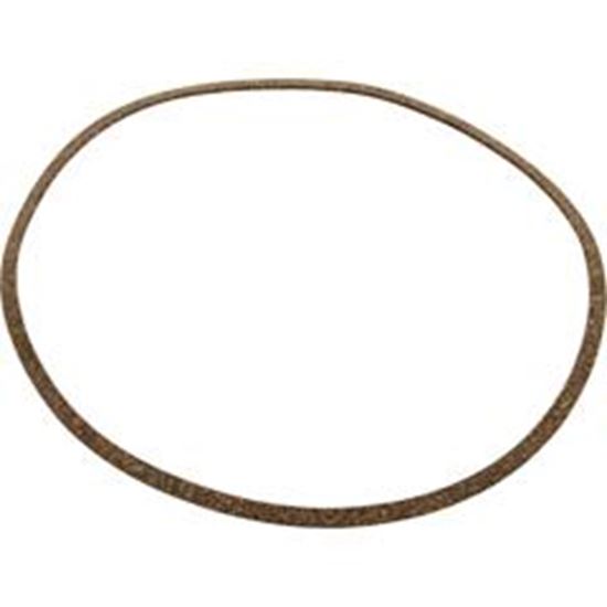 Picture of Gasket Pentair J-Series High Head Volute C20-122 