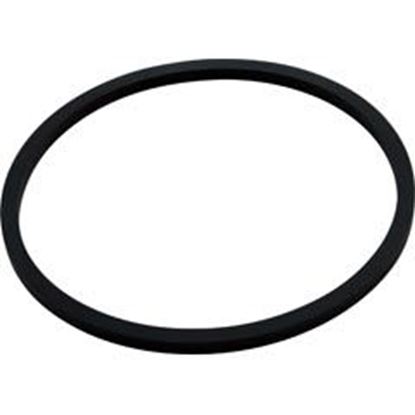 Picture of Gasket Trap Lid Starite Js/Lt Replacement Generic  90-423-6131