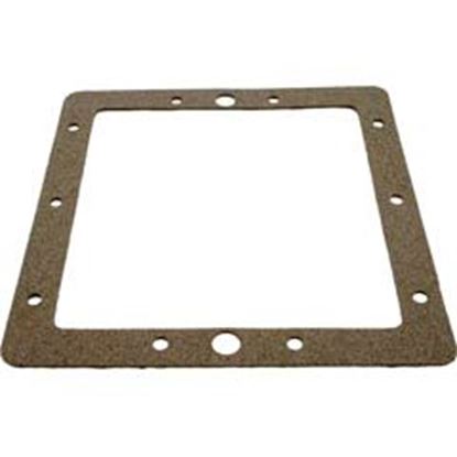 Picture of Gasket Pentair American Products Fas Skimmerfaceplateback 85003300 