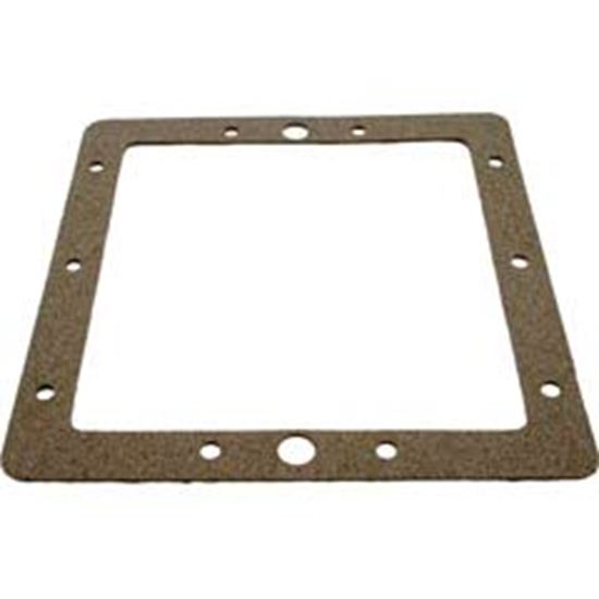 Picture of Gasket Pentair American Products Fas Skimmerfaceplateback 85003300 