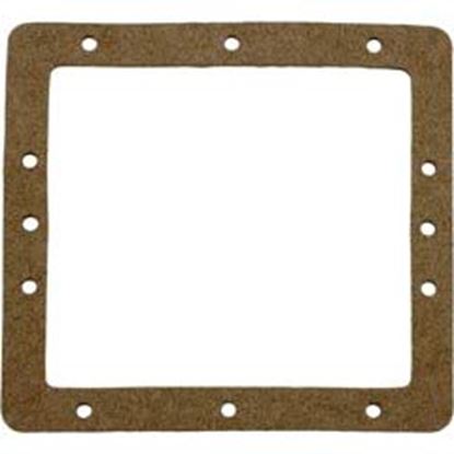 Picture of Gasketpentair American Products Fas Skimmerfaceplatefront 85003400 