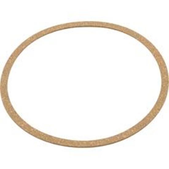 Picture of Gasket Pentair N20-35