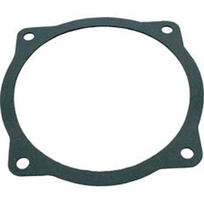 Picture of Gasket Val-Pak Aquaflo A Series Seal Plate 91500100 