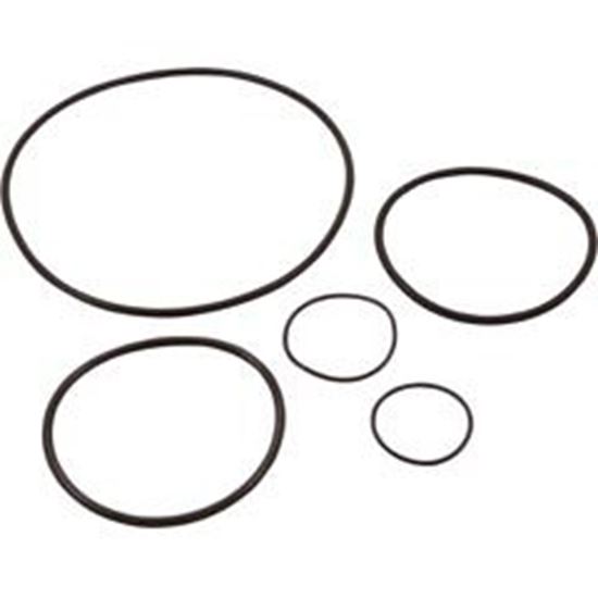 Picture of Pump O-Ring Kit Generic Challenger Pump  90-538-3005