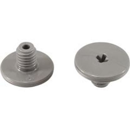 Picture of Retainer Screw Zodiac Polaris Quattro™ P40/Sportslvr2 Pk R0838800 