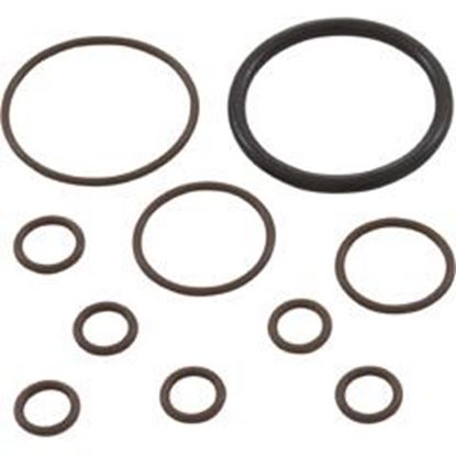 Picture of O-Ring Kit Pentair Racer Feed Line 360268 