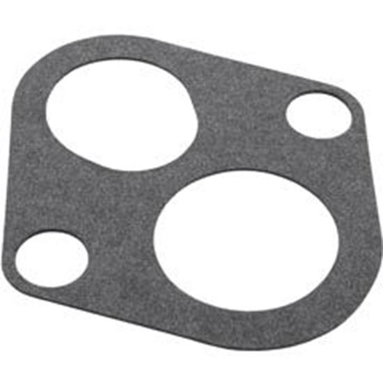 Picture of Gasket Pentair J20-12