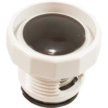 Picture of Cleaner Pressure Relief Valve (Polaris) 25563-150-100 