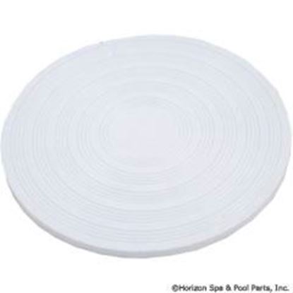 Picture of Skim Filter Lid Pentair Rainbow Dsf/Safety Skim 7-1/2"Od R172468 