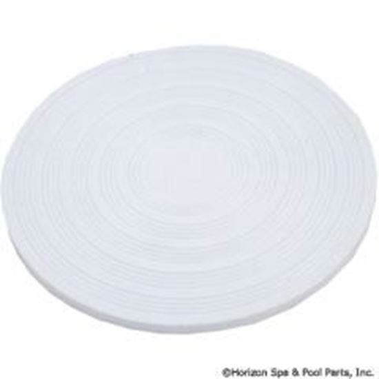 Picture of Skim Filter Lid Pentair Rainbow Dsf/Safety Skim 7-1/2"Od R172468 