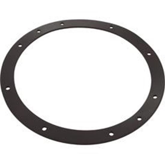 Picture of Gasket Sta Rite Vinyl Liner Light Niche Generic G-435 