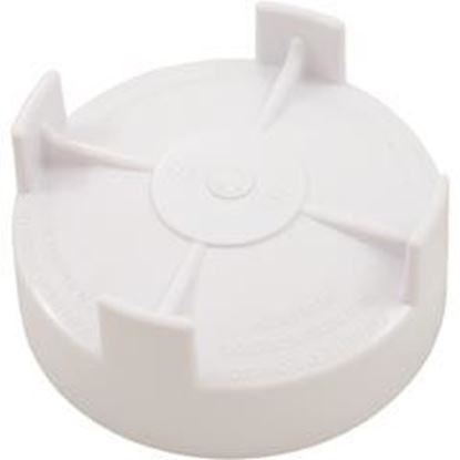 Picture of Rainbow Chlorinator Lid 25307-500-020 