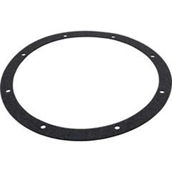 Picture of Gasket Amerlite/Amerquartz Niche Generic G-168 