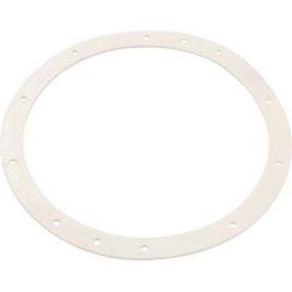 Picture of Gasket 10 Hole Light Niche10-1/2"Id12-3/8"Odgeneric Sg400 
