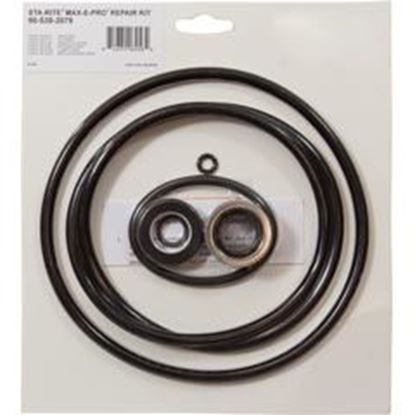 Picture of Pump O-Ring Kit Generic Sta-Rite Max-E-Pro W/Seal  90-538-2079