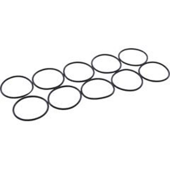Picture of O-Ring Pentair Intellichlor Quantity 10 521147 