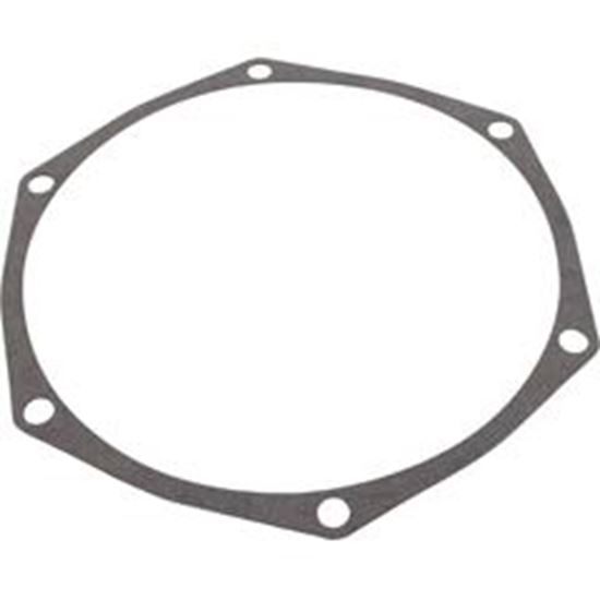 Picture of Gasket Pentair Sta-Rite Ds3 Series Seal Plate 1.0Hp/1.5Hp C20-86 