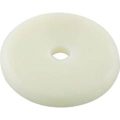 Picture of Washer Pentair Sch 40/Return Line Check Valve White 072471 