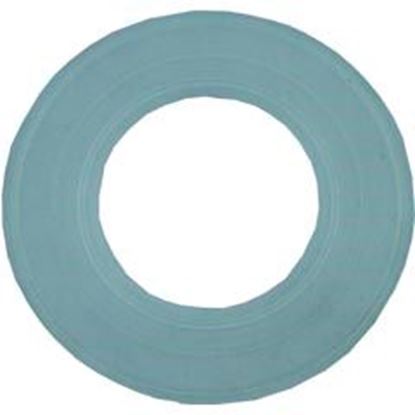 Picture of Light Gasket Pentair Aqualuminator 79116800 